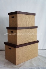 Rattan Fabric and Brown Leather Trunk Box2